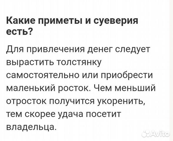 Толстянка Толстянка