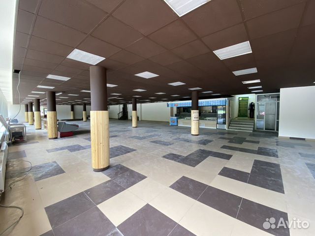 Площадь в Гастрономе под мясо, рыбу, 15 м² Площадь в Гастрономе под мясо, рыбу, 15 м²