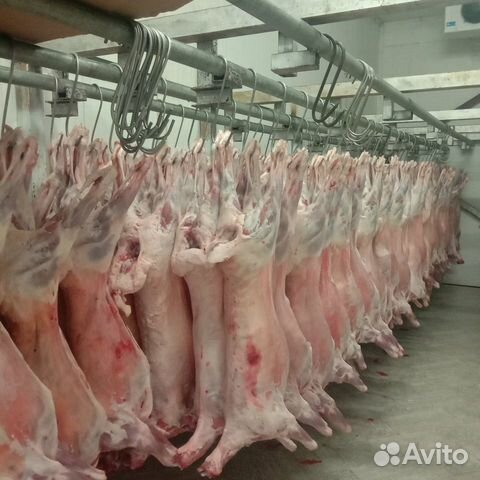 Баранина в тушах и полутушах