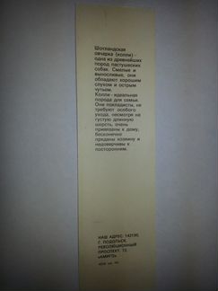 Закладки с породами собак