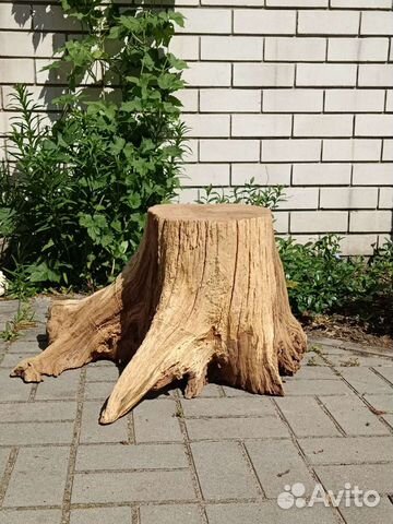 Пень с комелем, Подстолье под скамью