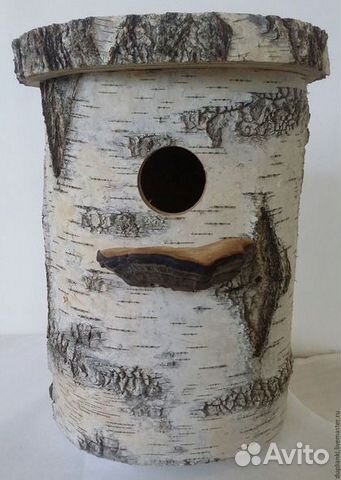 Бельчатник 