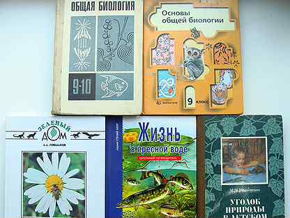 Шпаргалка: Подробные ответы на билеты по предмету 