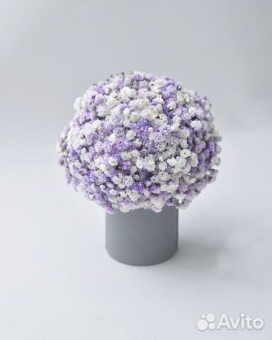 Цветы. Гипсофила. Доставка Цветов