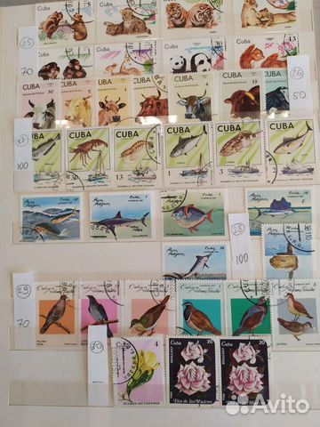 Почтовые марки Куба флора и фауна. Часть 2