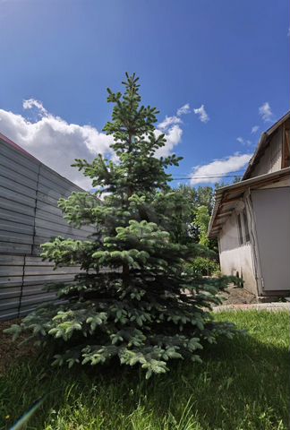 Дом 50 м² на участке 4 сот.