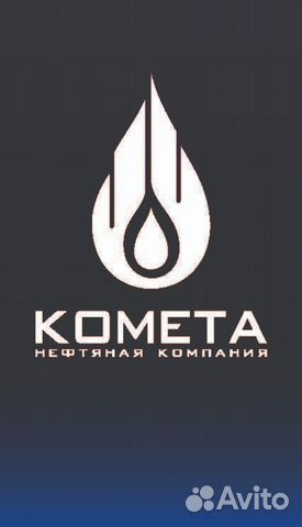 Водитель автомобиля С.Е