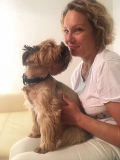 Передержка собак малых и средних пород