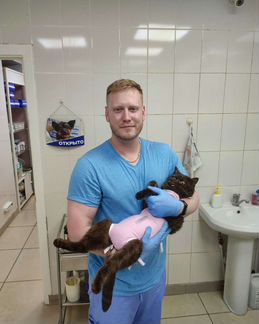 Ветеринарный врач