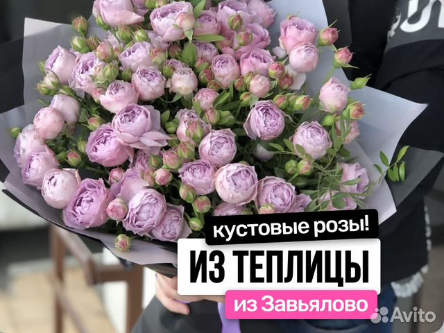 Lavender Bubbles кустовые розы для букетов