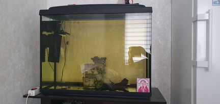 Аквариум с тумбой и принадлежности