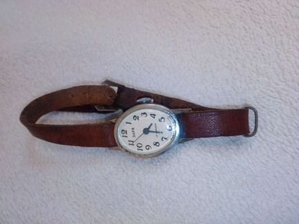 Лилии, лилейник, хоста, примула, пион