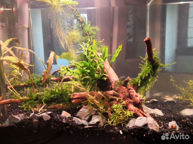 Светильник для аквариума, ремонт, фитосветильники