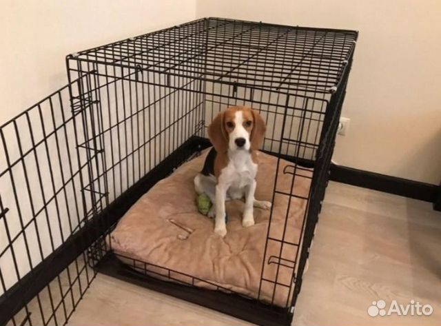 Клетка для собак №4 двухдверная