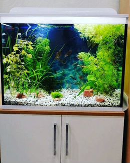 Аквариум 110 литров