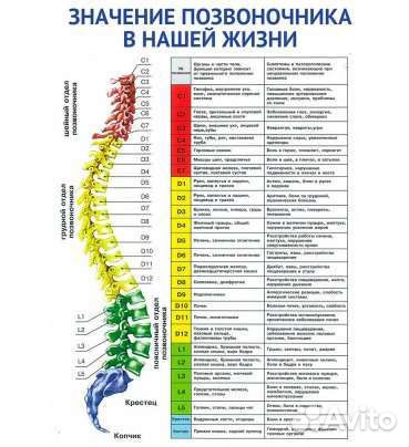 Костоправ, правка головы