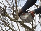 Проф Обрезка плодовых деревьев,Весна 2022 объявление продам