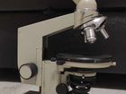 Микроскоп биолам ломо