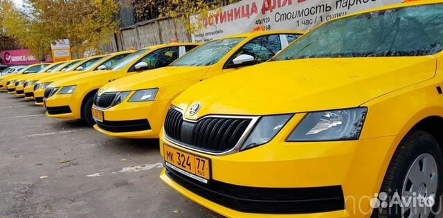 Аренда шкода октавия