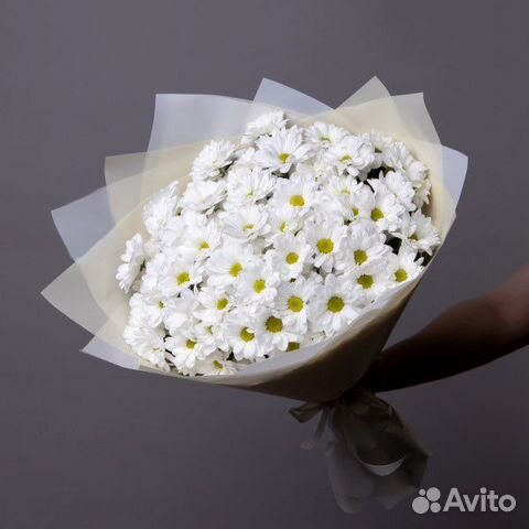 Букет из Хризантем. Букет. Цветы с Доставкой