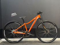 myka elite disc 29