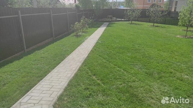 Рулонный газон «Дачный»