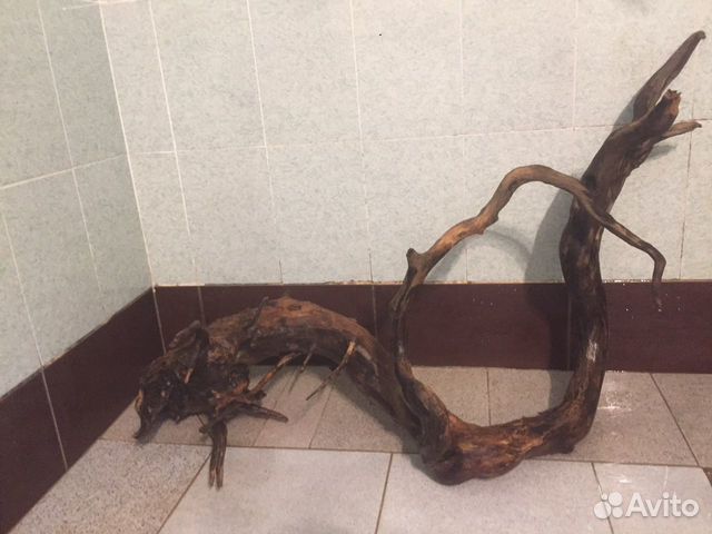 Коряги, камни, грунт