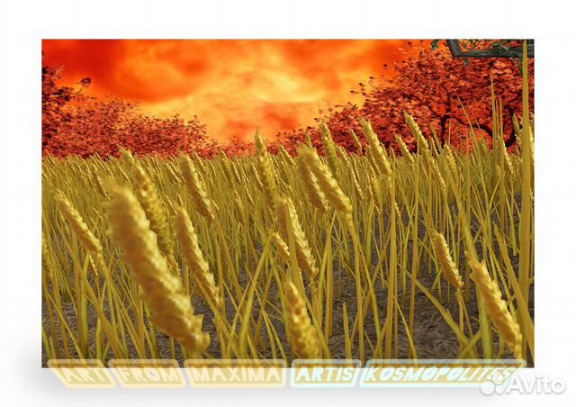 Что посеешь, то и пожнёшь купить в Калининграде | Хобби и отдых | Авито