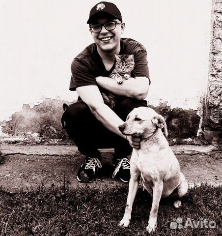 Любая, можно подработка, актуально