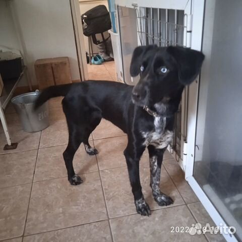 Красавица Герда очень ждёт свою семью