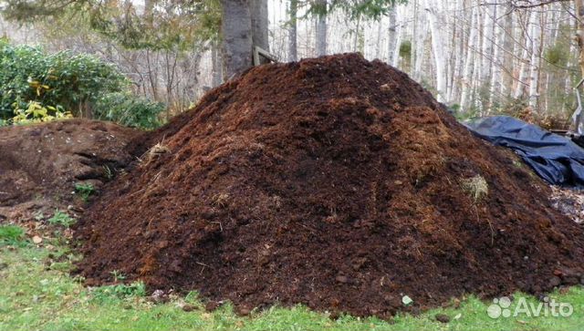 Перегной коровий земля