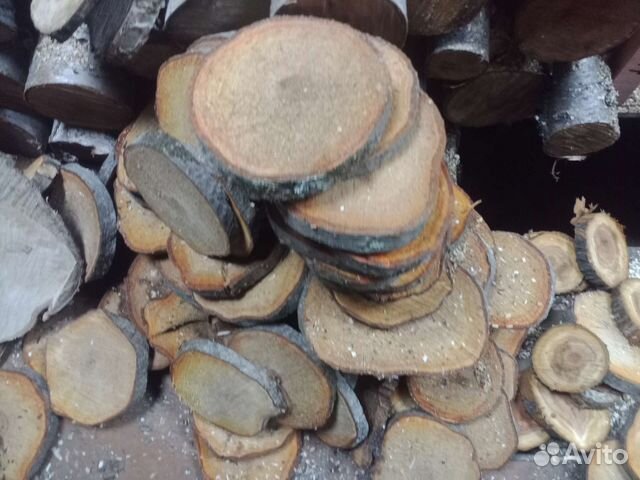 Торцевые спилы деревьев