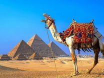 Горящие туры в египет