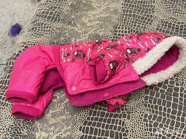 Одежда для собак