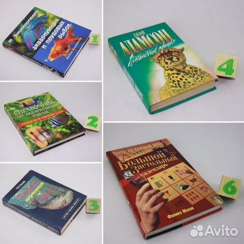 Пятнистый сфинкс