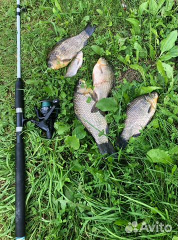 Удочка фидерная. Крокодил. Спиннинги Бортовые