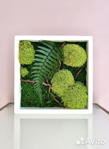 Панно из стабилизированного мха