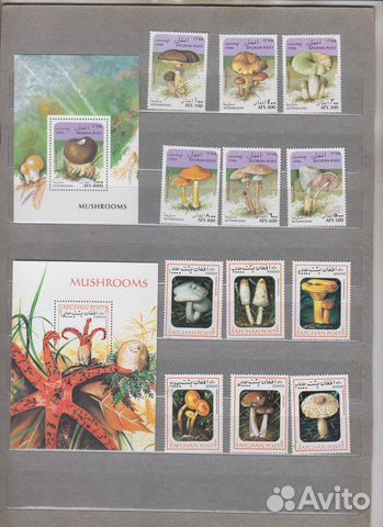 Марки Грибы