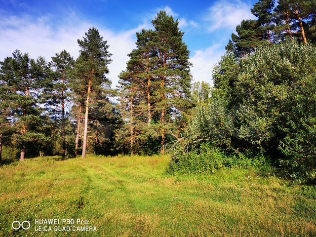 Участок 11 сот. (СНТ, ДНП)