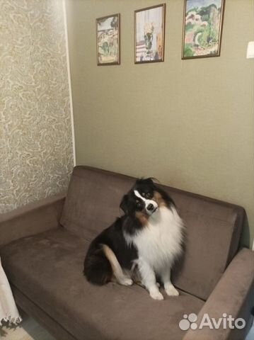 Химчистка мягкой мебели, диванов, ковров, матрасов