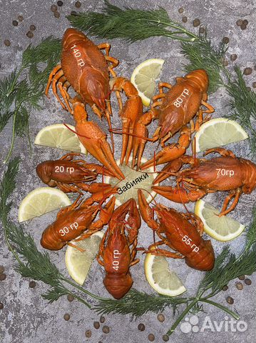 Раки забияки