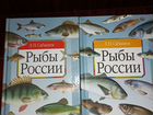 Книга Рыбы России Сабанеев