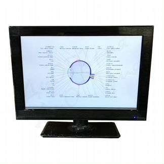 Экранный проектор знаков