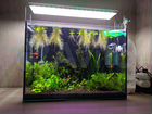 Освещение для аквариума Chihiros rgb 45см объявление продам