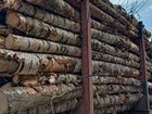 Берёза на дрова, дровяная береза, осина объявление продам