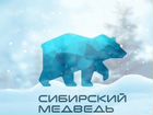 Интернет и тв от Сибирского Медведя (с.Мамонтово)