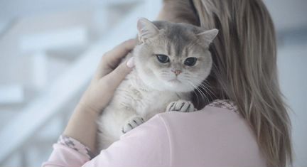 Британская