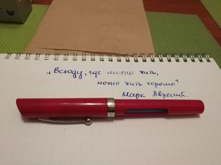 Перьевая ручка Sheaffer Viewpoint Calligraphy F