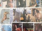 Набор марок. Тайланд «Лошади « объявление продам