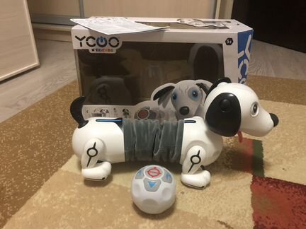 Собака робот Дэкел